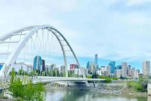 B19 Modern Stylish 2bed Basement Suite