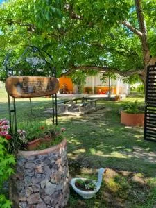 Descanso el abuelo - Palo Blanco