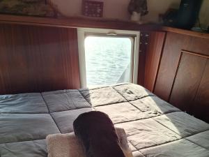 Bateaux Bateau le Zimon - logement insolite : Cabine de Bateau