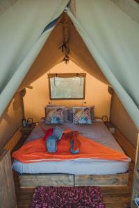 Hluhluwe Bush Camp Glamping Village