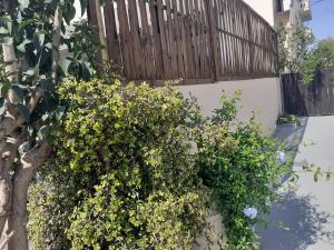 House escape