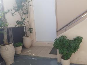 House escape