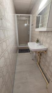 Appartements STUDIO MEUBLE AU PIED DU CHATEAU : Appartement 1 Chambre