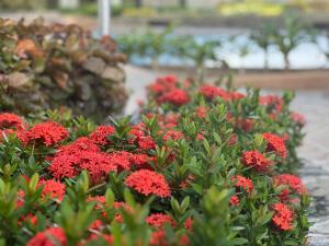 Lovely 1-bedroom at IT Park + fast internet