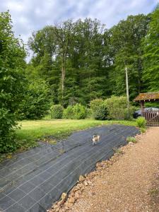 Studio au bord de la forêt de Perseigne