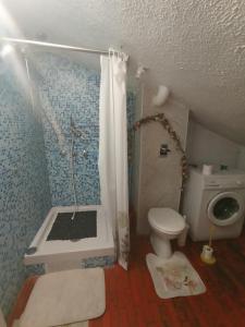 CASA VACANZA LA MANSARDINA