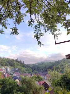 Popasul Poiana Mărului - 波亚纳默鲁卢伊