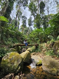 Hidden Valley Wayanad