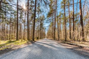 Cozy apartment in beautiful nature