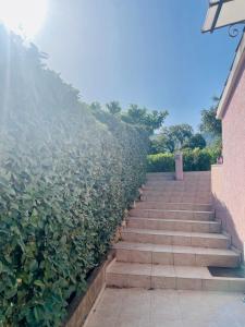 Appartements LOGEMENTS ACCES PISCINE - T2 Residence Serena : photos des chambres