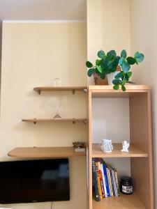 Apartment Nera