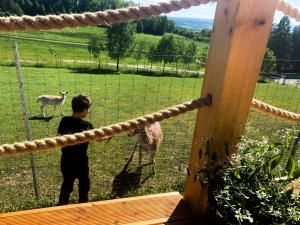 Domek Kołodziejowo z jacuzzi Góry Sowie Góry Stołowe