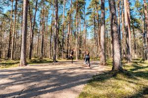 Luxury house in nature
