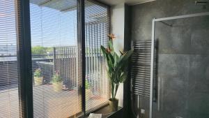 Artisa Riia Str 22 Luxury Penthouse Apartment