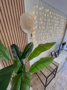 Paz Ocean View, Air condition, Wifi, Heated pool