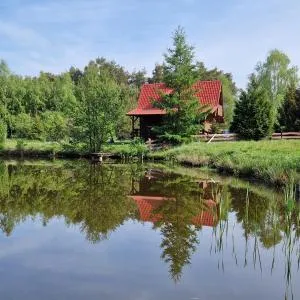 Agroturystyka Letnisko - Michał - Nowe Polaszki