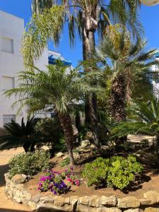 Apartamento en Costa Ballena, Urb. Playa Ballena