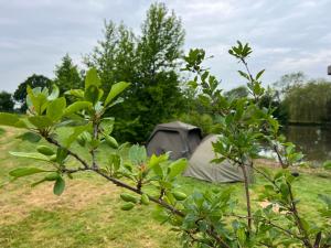 Amber Lodge Hickstead-C