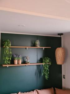 Campings Chez Boby ! : photos des chambres