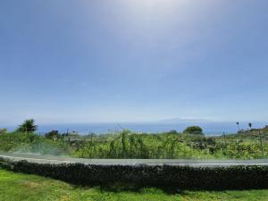 Typical Canarian House private jacuzzi, sauna, gym, Finca Conejo Taucho Adeje by Aqua Vista Tenerife
