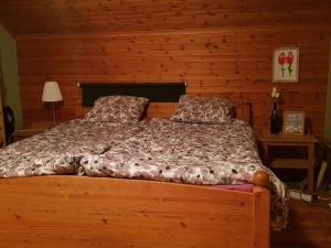 Lake view house in Hammerdal