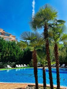 Apartment Aphrodite 2