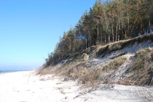 Domyletnie Sarbinowo ogrodzony dom 92m2