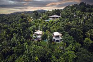 Aarunya Nature Resort - Kandy