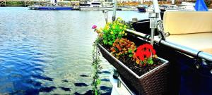 Bateaux Bateau le Zimon - logement insolite : photos des chambres