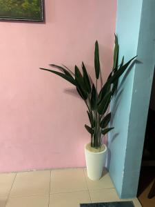 Zurie Muslim Homestay
