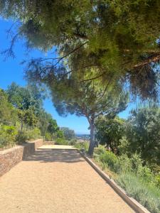 Villas La Maison de la Genette - 5 etoiles : photos des chambres