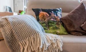 Apartamento a 15 minutos de Baqueira con parking y terraza