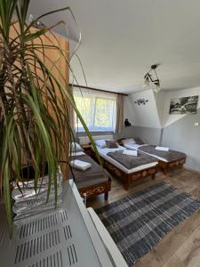 Pokoje i Apartamenty Regionalny Styl ul Króle 1a Zakopane