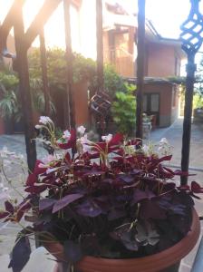 Nedis Nest - Cozy Countryside Retreat Under Palmtrees