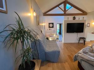 Appartements 5 mn Vienne, confort et calme a la campagne : photos des chambres