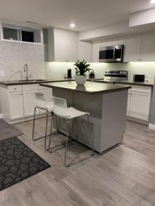 Brand new apartment with private entrance and patio