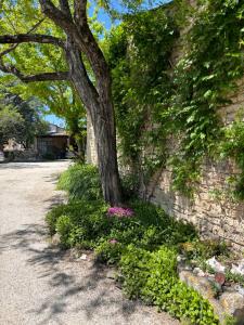 Appartements Les Juliens : photos des chambres
