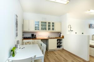 Citycenter Bad Ischl - Studio Apartments TRAUNKAi