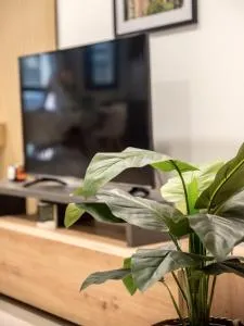 STUDIO 9 APARTAMENTO SEVILLA - Castilblanco de los Arroyos