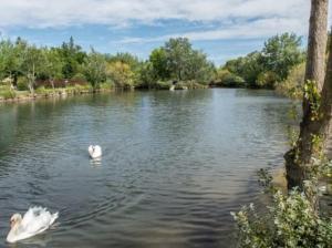 Appartements T2 Residence Sun Hols les Rives du Lac piscine, jardin : photos des chambres