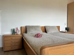 Appart am Hang mit Alpenblick - Oberreute