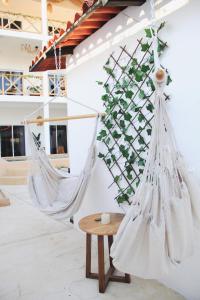 Casa Pachamama