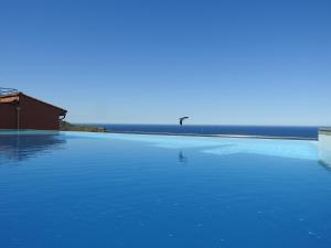 Appartements Appartement avec vue exceptionnelle sur mer : photos des chambres