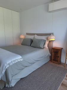 Luxury Green Apartment in The Historic Centre Aveiro