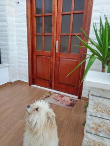 Twins Villa Mangalem