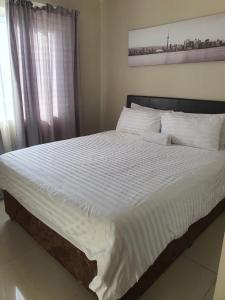 North Beach Summer Homes