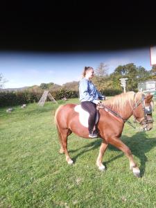 Domaćinstvo Jovanović