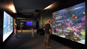 Appartements Appartement avec vue exceptionnelle sur mer : photos des chambres