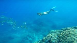 Appartements Appartement avec vue exceptionnelle sur mer : photos des chambres