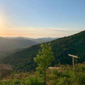 Maisons de vacances Casa1850 : photos des chambres